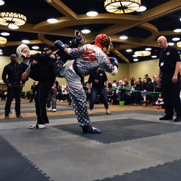 mma fighting mats