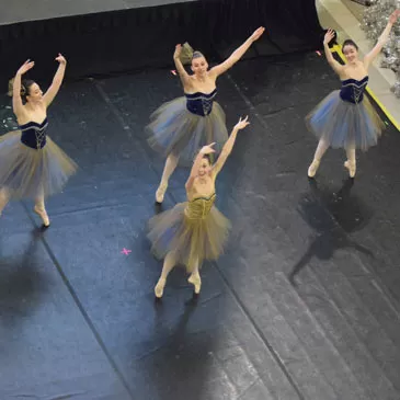 Dance Subflooring