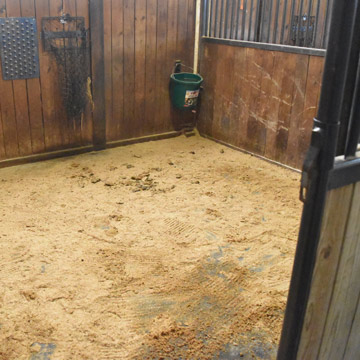 Dry Horse Stalls with Shavings