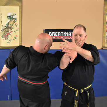 Combat Hapkido