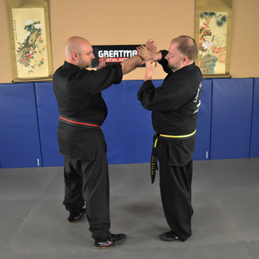 Hapkido Martial Arts