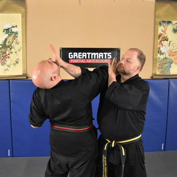 Video Hapkido Techniques