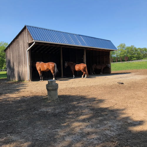 Horse Run In Shed Mats