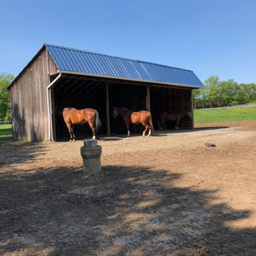 Horse Paddock Mud Control Grid