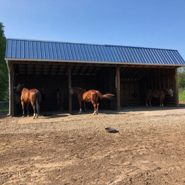 Controlling mud in a horse pasture or run in