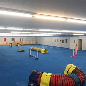 best flooring for dog agility