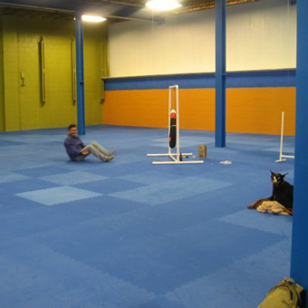 The Canine Coach Greatmats Dog Agility Mats