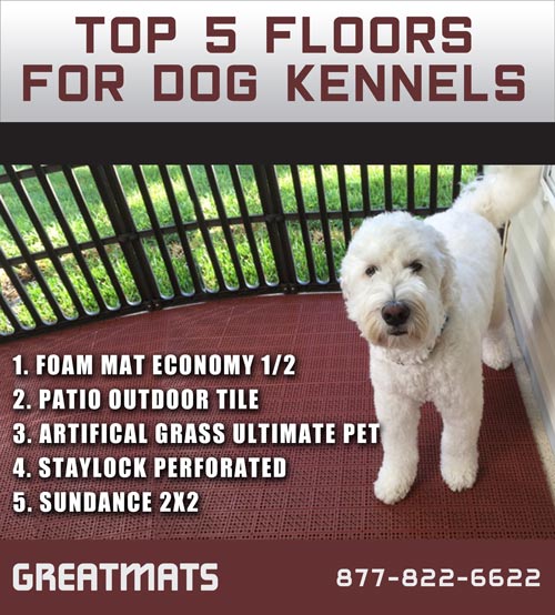 Greatmats Dog Kennel Flooring Products - The Top 5 infographic.