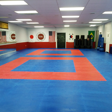 Treger Studio of Martial Arts BJJ Mats