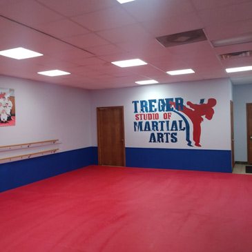 Tae Kwon Do Mats - Treger Studio of Martial Arts