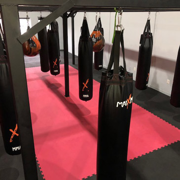 Tysons City Boxing Greatmats Taekwondo Mats for Muay Thai