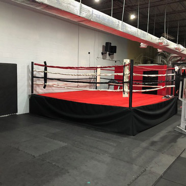 Tysons City Boxing Greatmats Judo mats for Muay Thai