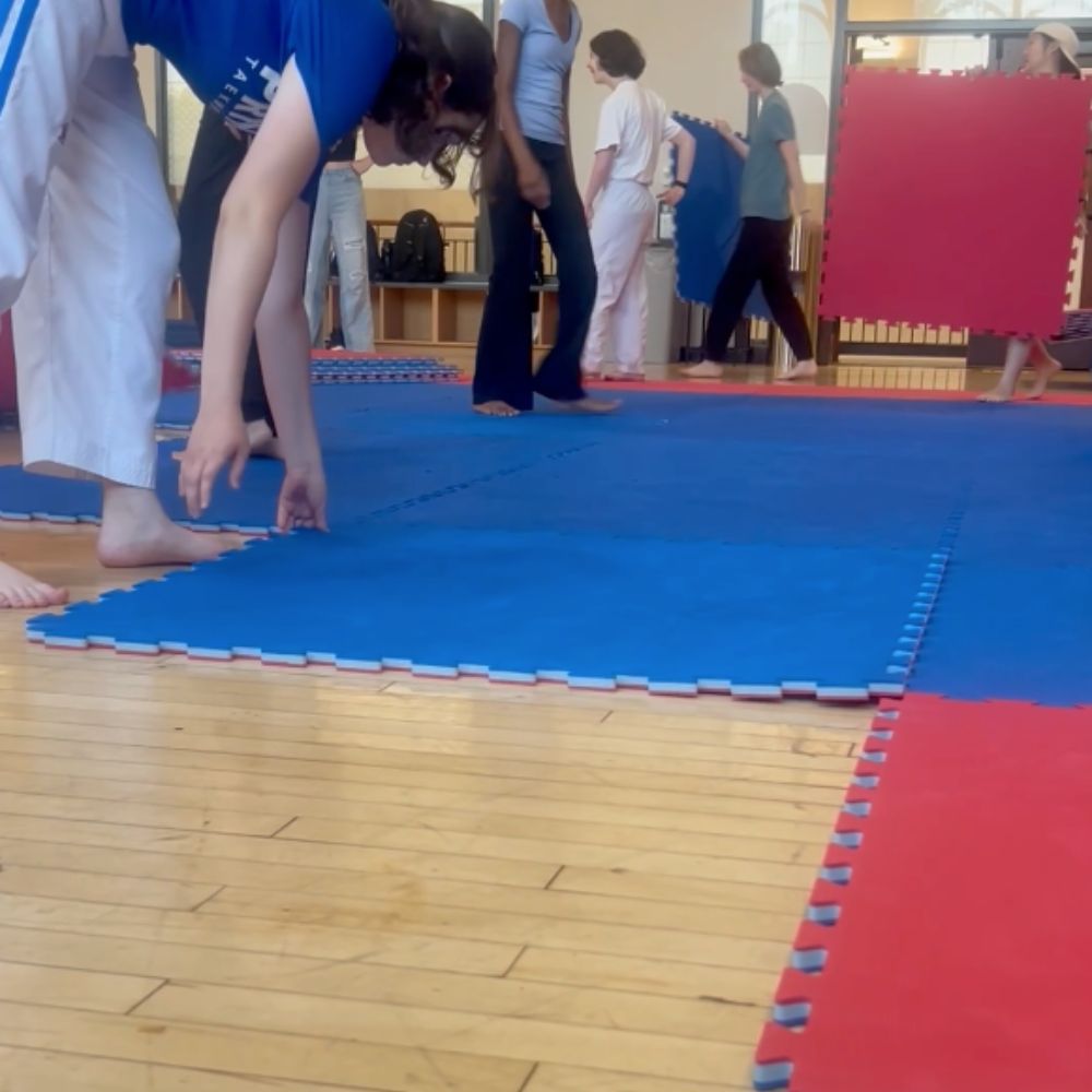 dojo mats