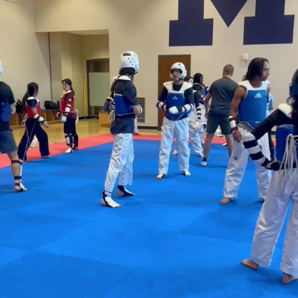 puzzle mats for taekwondo