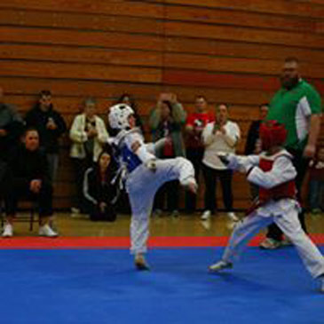 Taekwondo sparring mats - U.S. Taekwondo Academy