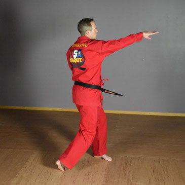 karate tips video