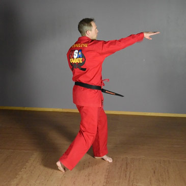 karate tips video