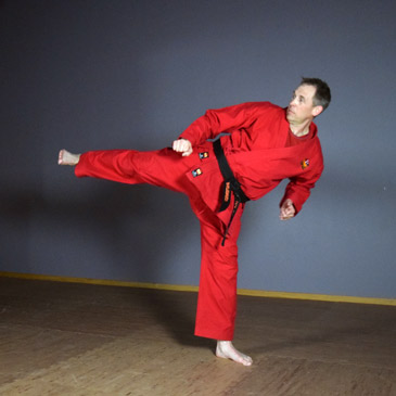 karate technique video