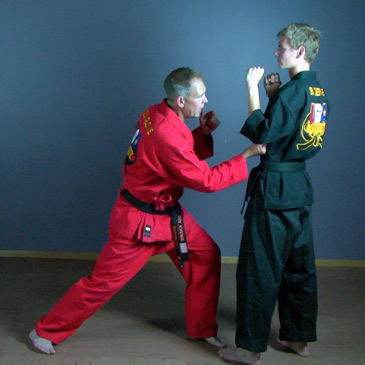 Karate Point Sparring Tips David Younglove