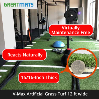 Gym Turf Infographic