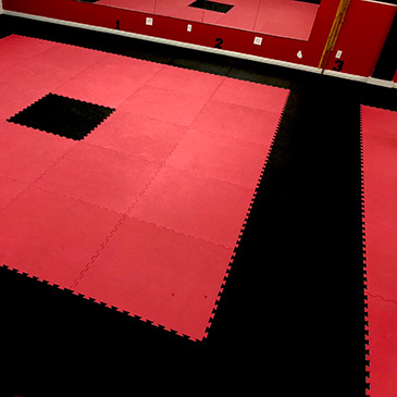 Freestyle Martial Arts Flooring Systems for Competitions