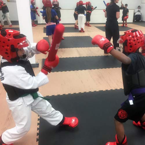 TKD Mats & Pilaster Padding Testimonial: West Omaha Martial Arts Video