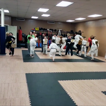 wood grain karate mats