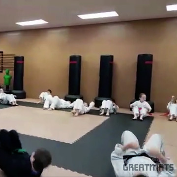 Wood Look MMA Jigsaw Mats