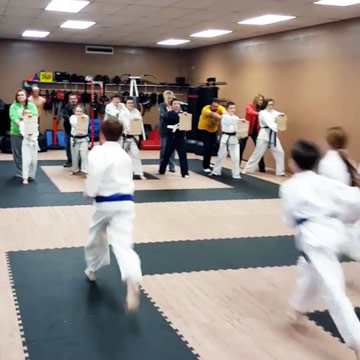 Wood Grain Martial Arts Mats