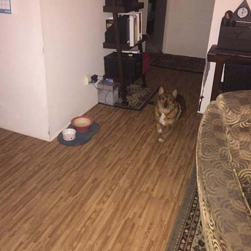 raised wood floor tile