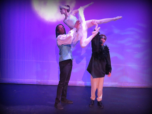 C&K Dance Theater Swan
