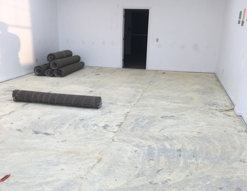 Asylum Dance Project base floor