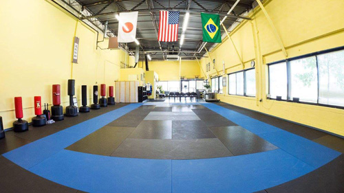 Virginia Jiu Jitsu Academy - Gracie Jiu-Jitsu Academy Ashburn