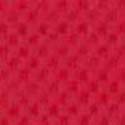 Gym mats red color swatch.