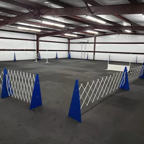 Dog Agility Interlocking Mats for Dog Training