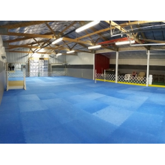 Dog Agility Mats thumbnail