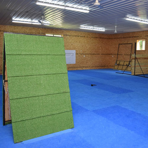 Large climbing wall for dogs on blue agility mats