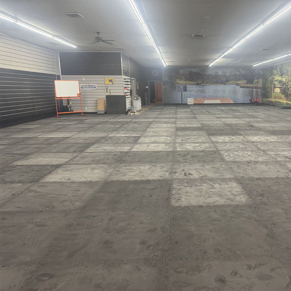 black dog agility mats in facility