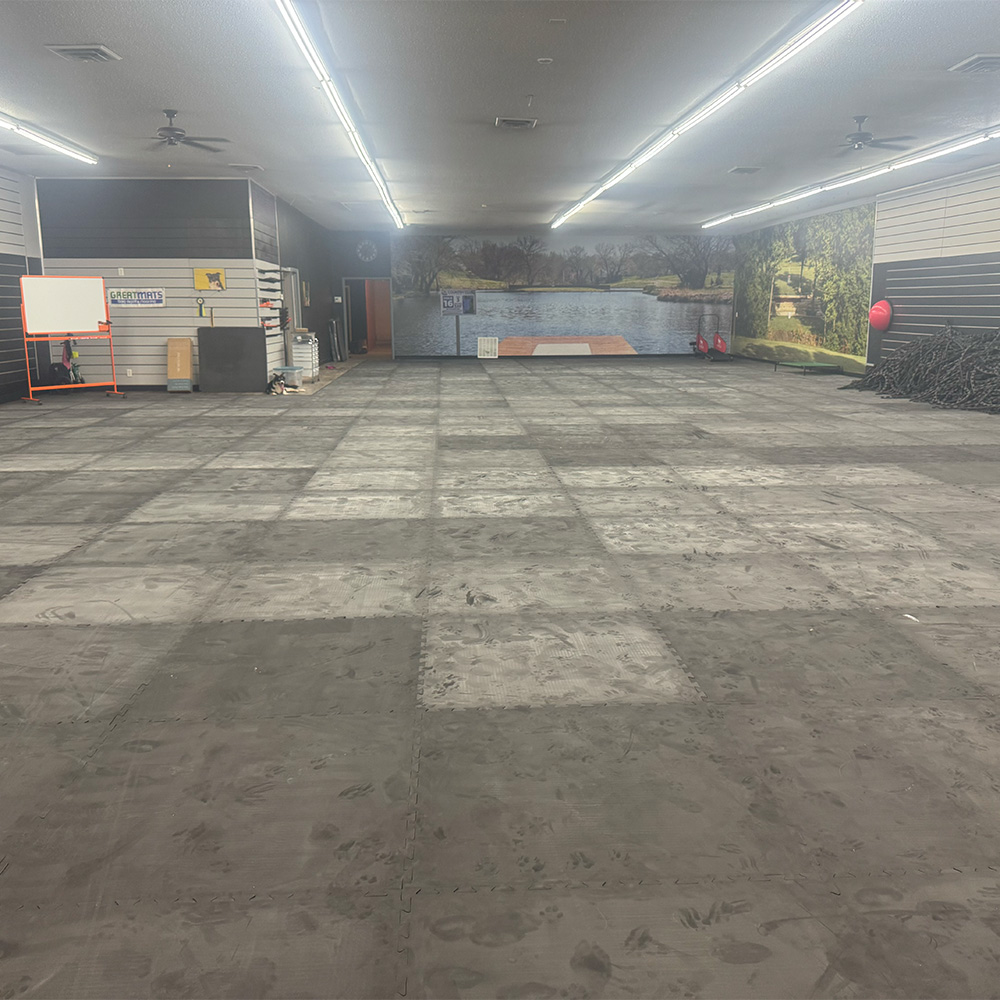 interlocking dog training mats