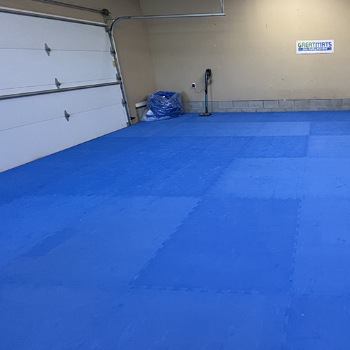 The Super Collies Dog Agility Garage
