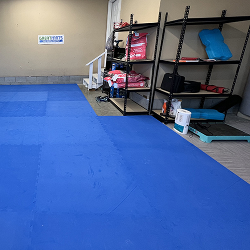 The Super Collies Dog Agility Flooring 