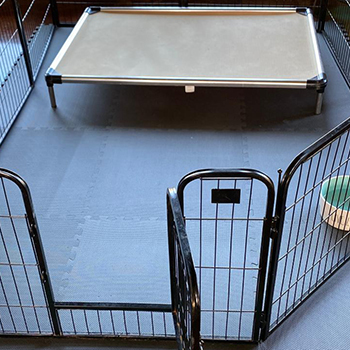 dog kennel with foam mat floors