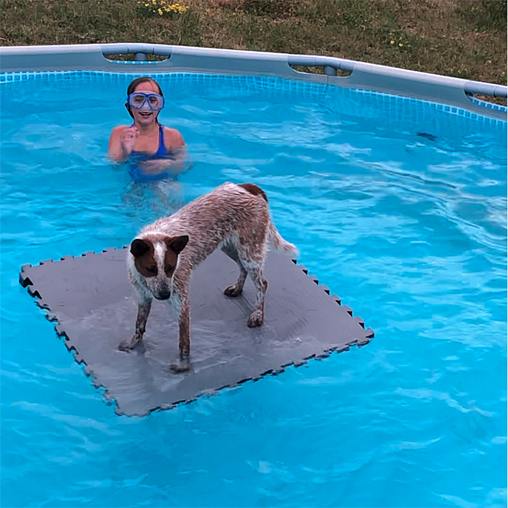 Floating Dog Mat