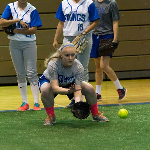 Best Softball grass turf option for indoor practice