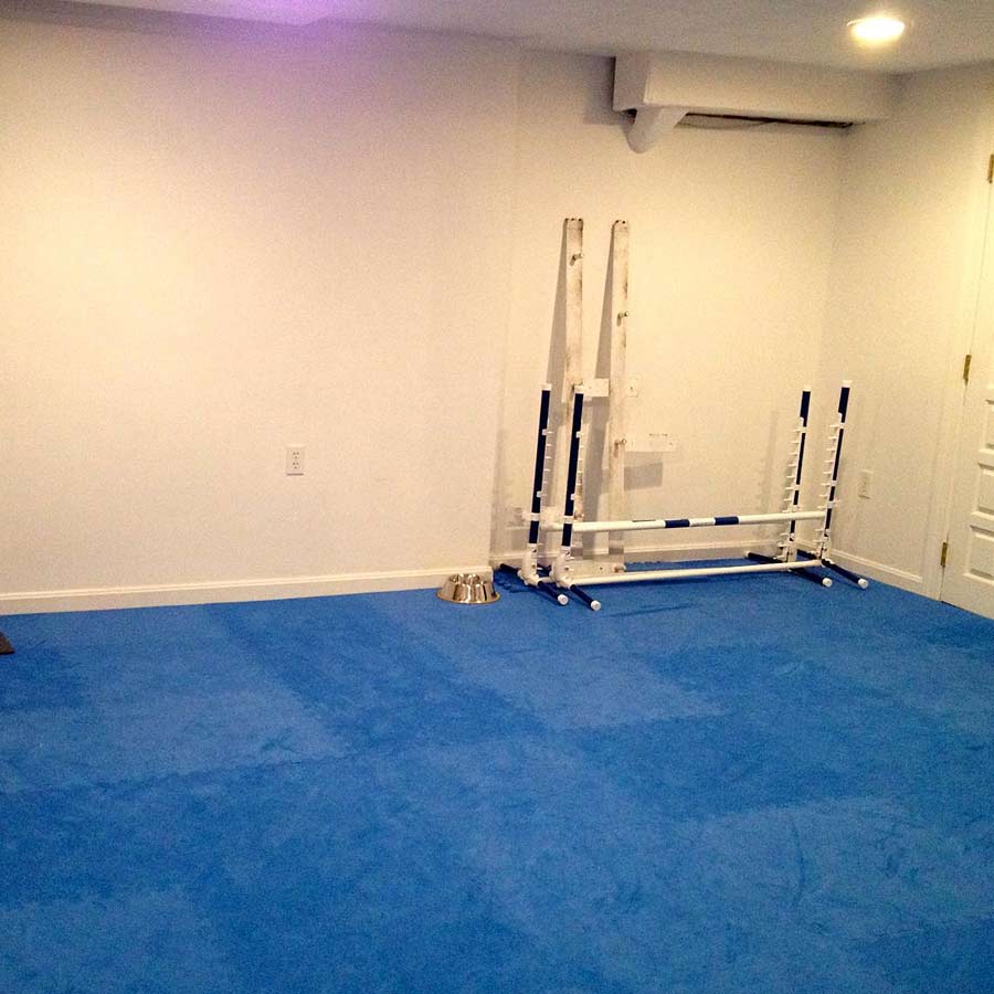 Dog Agility Mats Interlocking Tiles blue mats.