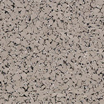 Warm Gray Premium