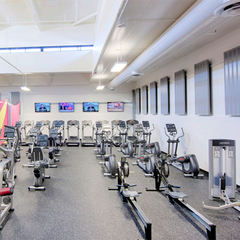Rolled Rubber Eureka 8 mm 30% Team Colors installed in commercial gym with cardio equipment