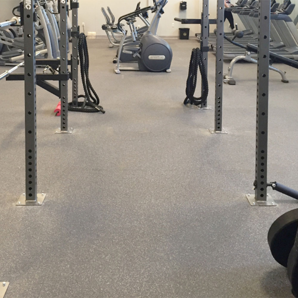 Performance Monster 22.5 mm Rolls in dark gray color in commercial gym