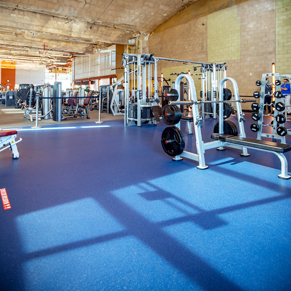 Performance Rally 14.5 mm Rolls Premium Blue weight room with weight benches
