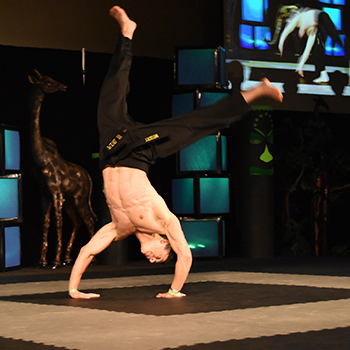 karate or handstand mats